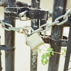 Intertwine
