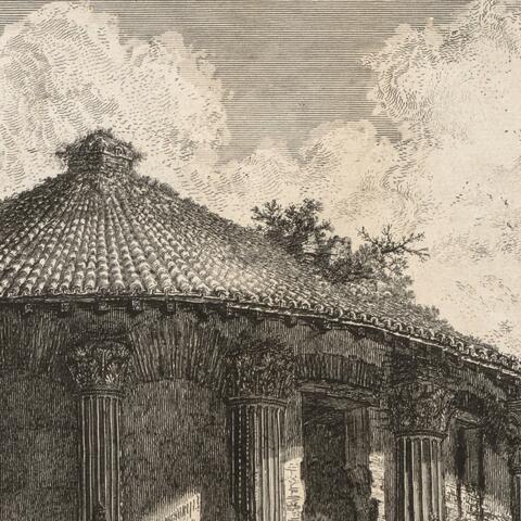 Frozen from the Snow