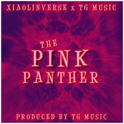 The Pink Panther (feat. XiaolinVerse)