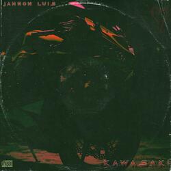 KAWASAKI (LOW OCTANE)