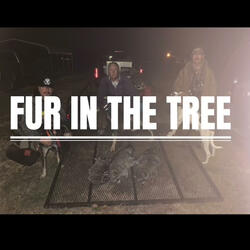 Fur In The Tree