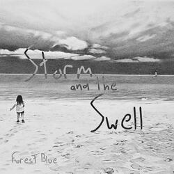 Storm and the Swell
