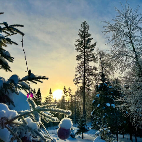 Look At All The Flow I Found (Radio Edit)