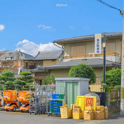 ひまわりの坂道