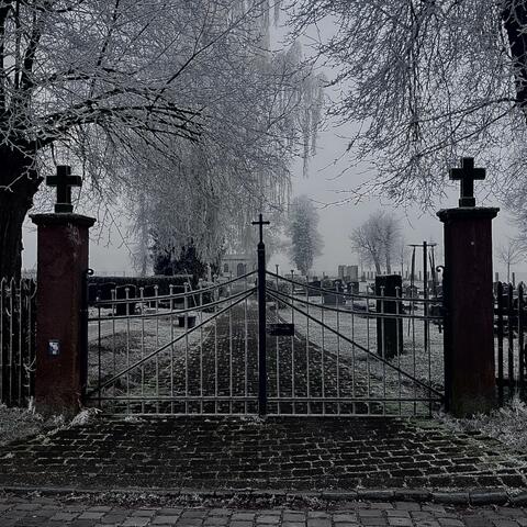 Thaw the frost at dawn