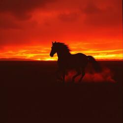 FOGO NAS VENTA (GUTTONA)