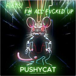 RATS! I´M ALL FUCKED UP (feat. PUSHYCAT) (LoFi Compress Version)
