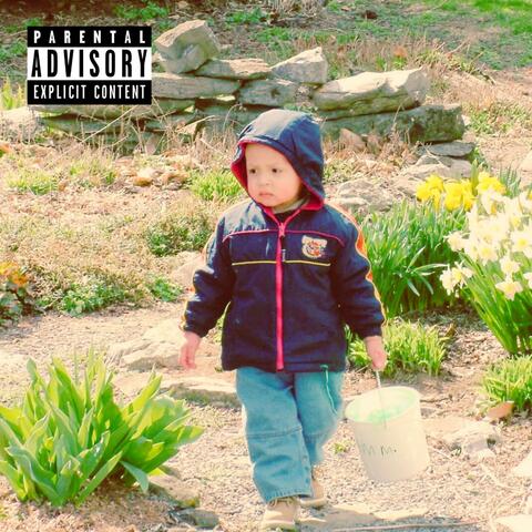 watch the sunrise along the coast