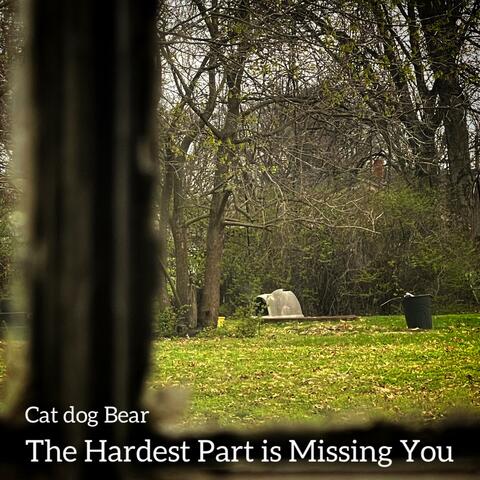 The Hardest Part is Missing you