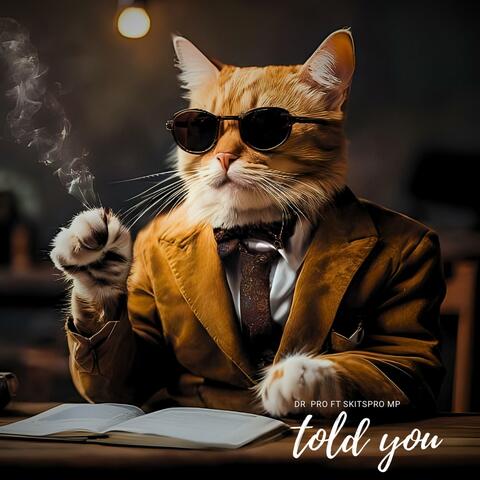 Told you (feat. Skitspro mp)