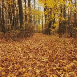 Autumn Chill