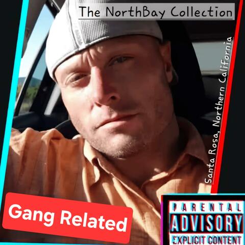 The NorthBay Collection