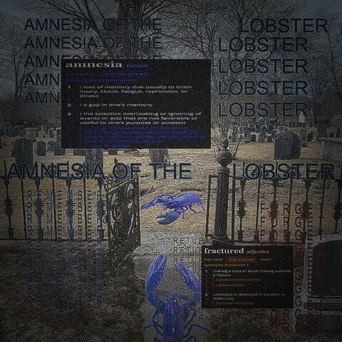 Amnesia Of The Lobster