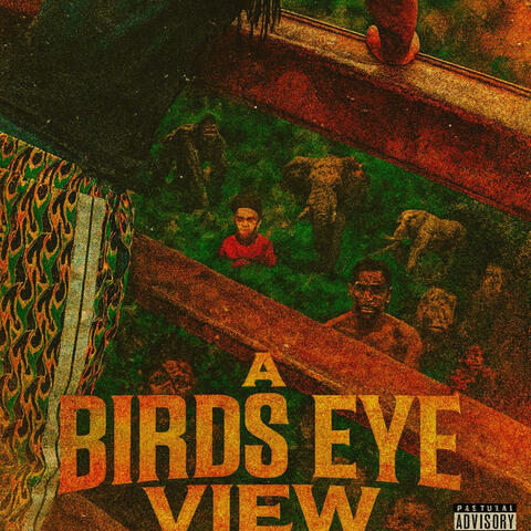 A Bird's Eye View
