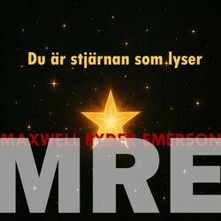 Du är stjärnan som lyser