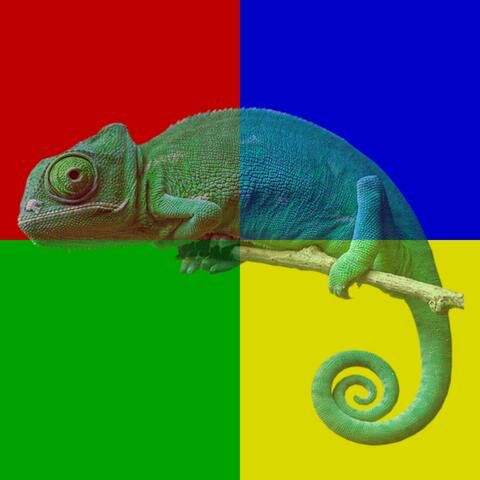 Cameleon