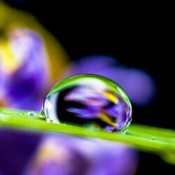 Clarity