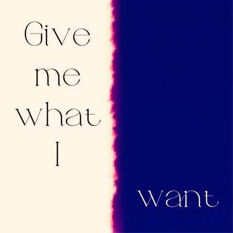 Give Me What I Want