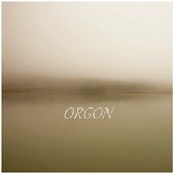 Orgon