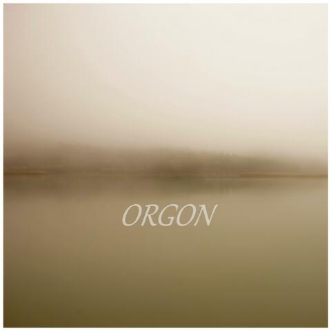 Orgon