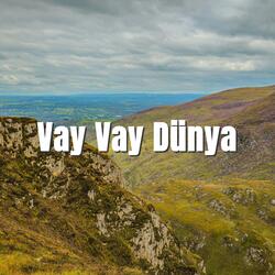 Vay Vay Dünya (Neşet Ertaş Anısına)