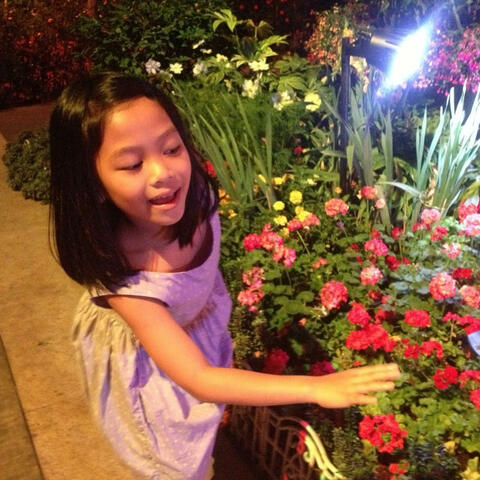 Serenade. Franz Schubert. For A Walk in The Garden.