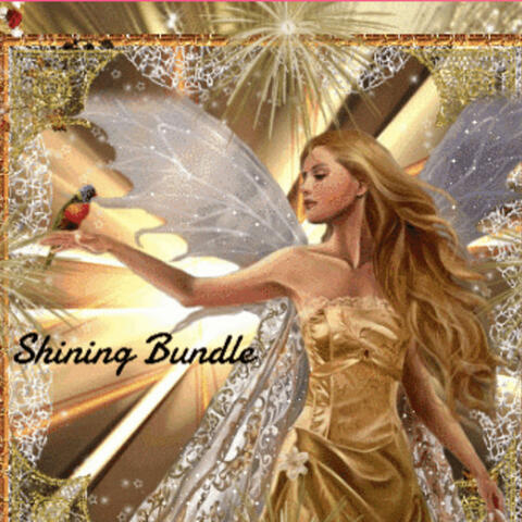 Shining Bundle