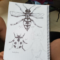 Sweet (the grab a love mix)