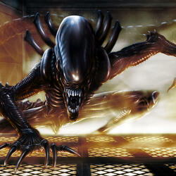 Unatural Disturbance