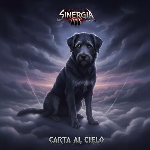 Carta al cielo
