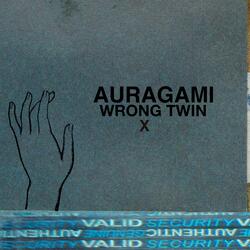 Wrong Twin