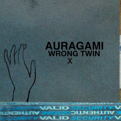 Wrong Twin