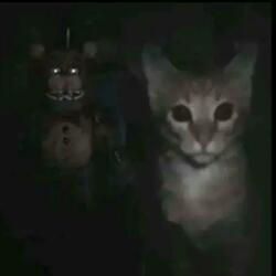 MEOW SCARY FUNK