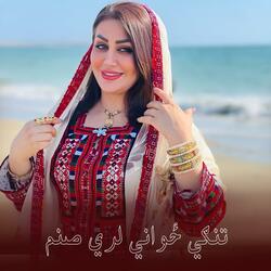تنګي ځواني لري صنم ||Tangi jawani lari sanam zama || مينوال لري صنم