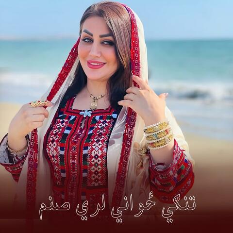 تنګي ځواني لري صنم ||Tangi jawani lari sanam zama || مينوال لري صنم