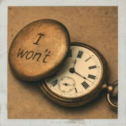 I Won't
