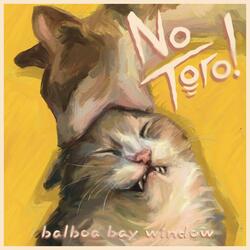 Balboa Bay Window