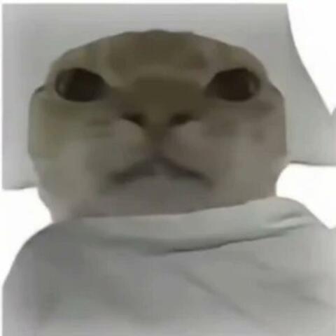 Wake Up Hajimi - 哈基米起床