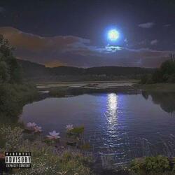 NIGHTS LIKE THIS (REMIX)