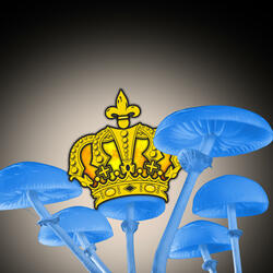 Shrooms at Monica's (from Darling Boy: Original Concept Album)