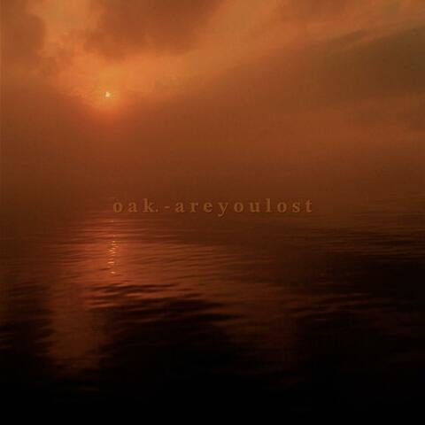 a r e y o u l o s t