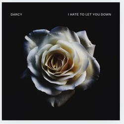 I Hate To Let You Down (Radio Edit)