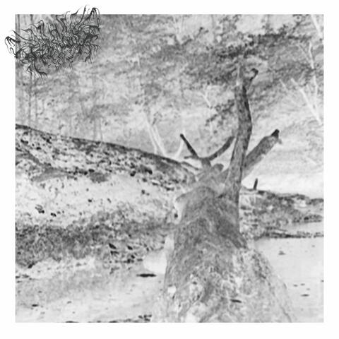 The Greenway Trail (REVERSED)