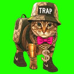 OIIA OIIA TRAP Spinning CAT (Sped Up)