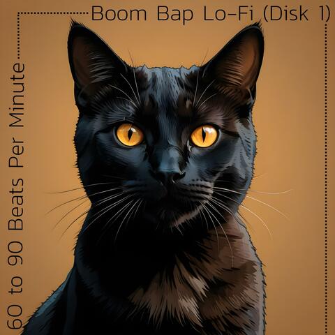 Boom Bap Lo-Fi (Disk 1)