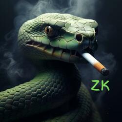 WHERE TF IS ZK DISSTRACK