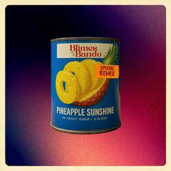 Pineapple Sunshine - bennygrape Remix
