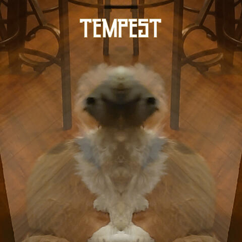 TEMPEST (DEMO)