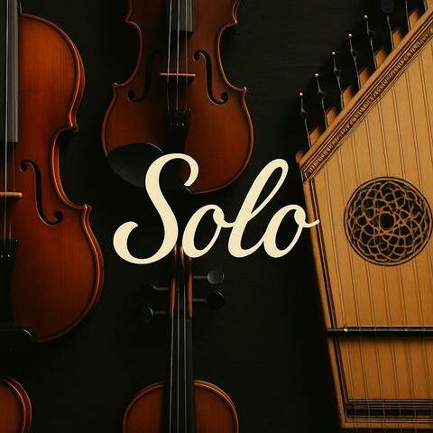 Solo İnstruments