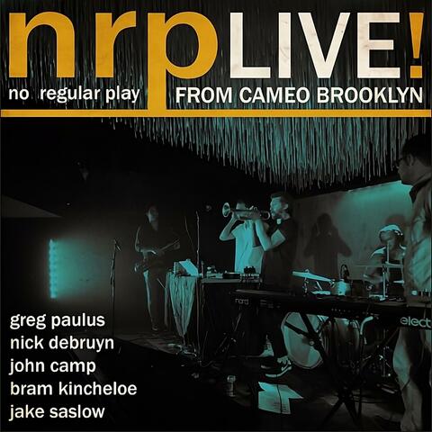 NRP Live! (Cameo Gallery, Brooklyn, 9/17/2015)